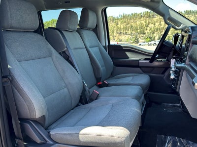 2025 Ford F-150 Base