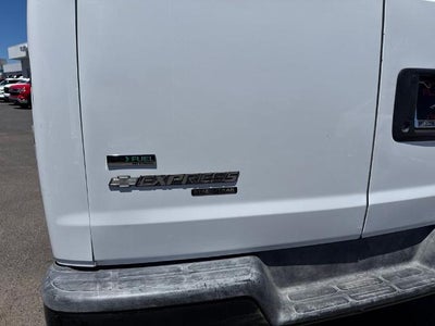 2010 Chevrolet Express Passenger 1500 LS