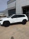 2023 Jeep Cherokee Altitude